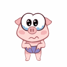 pig tears