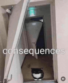 a black and white cat is standing in a doorway with the words `` consequences '' written above it .