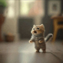 a small kitten standing on its hind legs with its mouth wide open