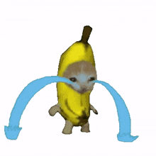 cat banana