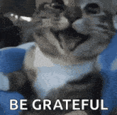 a close up of a cat with the words be grateful written on it