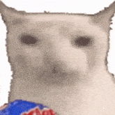 a close up of a white cat holding a bag of candy .