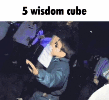 Wisdom Cubes Advanced Tobi GIF