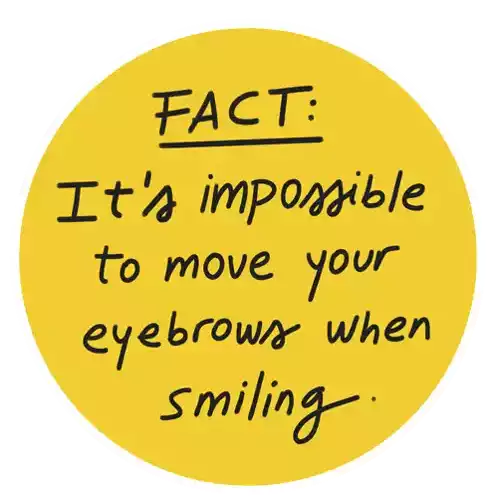 Smile Eyebrows Sticker - Smile Eyebrows Cheer Up Stickers