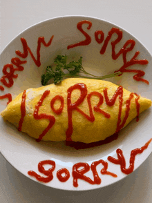 a plate of food with the word sorry written in ketchup