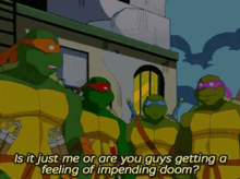 tmnt 2003 impending doom ninja turtles