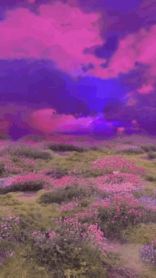 Dreamcore Gif Discover more #aesthetic, #images, Daydreams, dream, Dreamcore  gif. Download:  in 2023