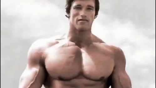 You Are Arnold Schwarzenegger!