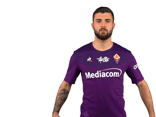 3,311 Acf Fiorentina Images, Stock Photos, 3D objects, & Vectors
