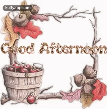 Good afternoon Winter. Good afternoon gif.