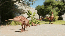 a lizard with a long beak is walking in a field