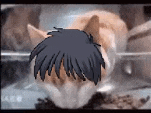 Shiki Cat GIF - Shiki Cat Arcueid GIFs