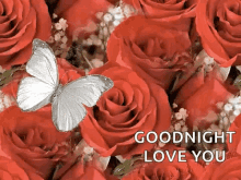 Good Night Love You Butterfly GIF - Good Night Love You Good Night Love You GIFs