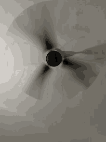 spinning fan