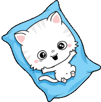 Toofio Wants A Hug Sticker - Toofiothe Cat Pillow Comfy Stickers