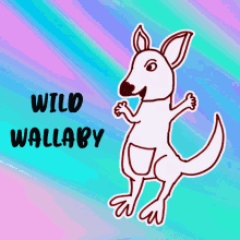 Wild Wallaby Veefriends GIF - Wild Wallaby Veefriends Crazy GIFs