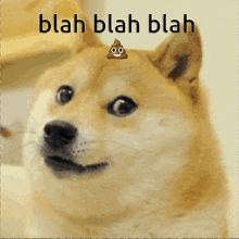 Blah Blah Blah Doge GIF - Blah Blah Blah Doge Be Quiet GIFs