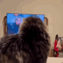 a cat is sitting in front of a television .