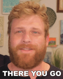 a man with a beard has the words there you go written on his face