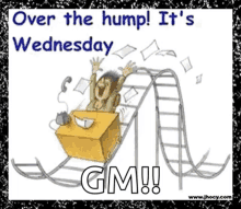 Hump Day Wednesday GIF