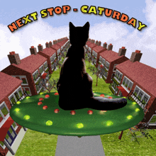 Next Stop Caturday Saturday GIF