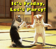 Party Kitty GIF - Party Kitty Dancing GIFs