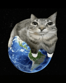 a cat laying on top of a globe in space