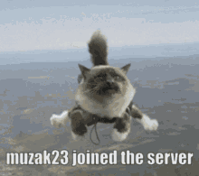 Muzak23 Joined The Server GIF - Muzak23 Muzak Joined The Server GIFs