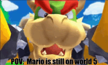Mario Bowser GIF - Mario Bowser Pov GIFs