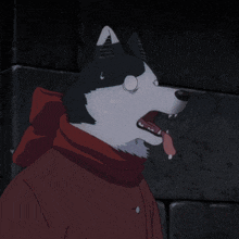 a black and white dog with a red scarf around its neck is sticking its tongue out