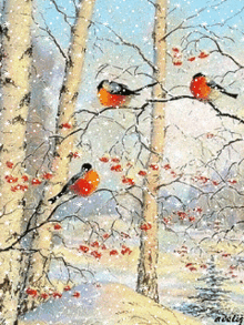 Birds Winter GIF - Birds Winter GIFs