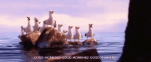 Seagull Pixar GIF - Seagull Pixar Seagulls GIFs