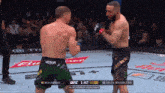 muhammad and della maddalena are fighting in a ufc championship match