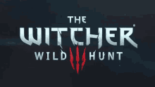 The Witcher Wild Hunt The Witcher3wild Hunt GIF - The Witcher Wild Hunt The Witcher The Witcher3wild Hunt GIFs