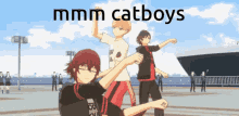Catboys Dankira GIF - Catboys Catboy Dankira GIFs