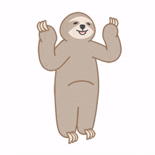 sloth animal cute ignore blah blah