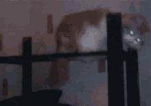 a blurred image of a person standing in front of a cross .