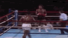 Mike Tyson Fight GIF - Mike Tyson Fight Game GIFs