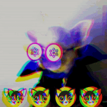 Chihuahua Memecoin GIF