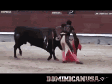 matador fail bull fighter fail horn