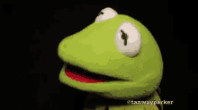 Kermit GIF - Kermit Puppet Laugh GIFs