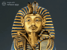 Máximo Faraón GIF - Máximo Faraón GIFs