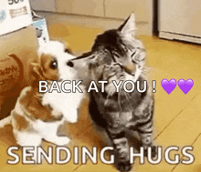 a dog and a cat hugging each other with the words " back at you sending hugs "