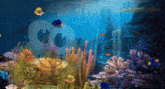 Steamhappy Aquarium GIF