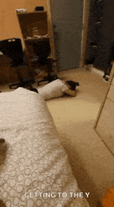 Hungover Drinking GIF