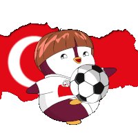 Turkey Soccer Sticker