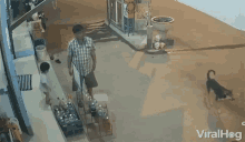 Accident Fell Down Baby GIF - Accident Fell Down Baby Befalling GIFs