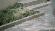 a corner of a sidewalk with chinese characters on the bottom right corner