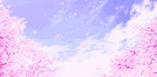 Blossoms Flowers GIF - Blossoms Flowers Falling GIFs