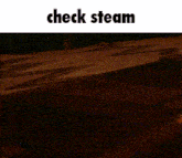 Steam Check Steam GIF